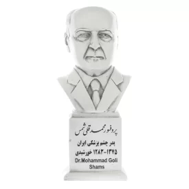 سردیس پروفسور محمدقلی شمس