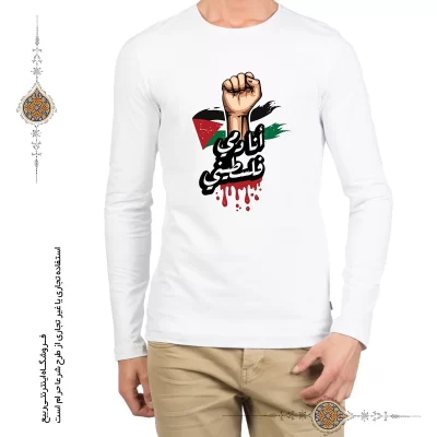 تیشرت مردانه مقاومت طرح انا دمی فلسطین