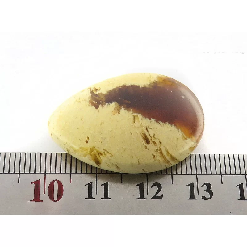 نگین کهربا بولونی لهستان خوش نقش - کد 54875