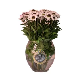 گلدان بلوری طرح امیرالمومنین حیدر