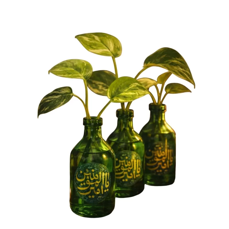 گلدان قلمه بلوری طرح ذکر امیراامومنین بسته 2 عددی