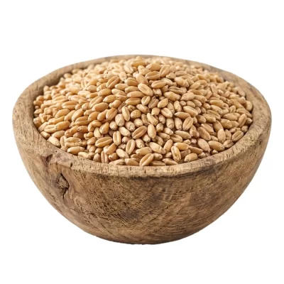 گندم - 1 کیلو گرم
