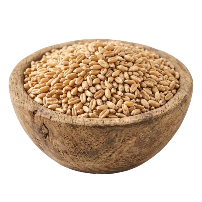 گندم - 1 کیلو گرم
