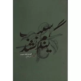 کتاب گندم نشد سیب - نشر سوره مهر