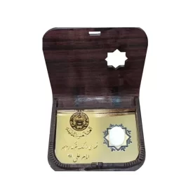 سنگ نگین انگشتری حرم امام علی (ع)