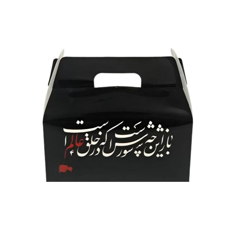 جعبه مدل طفل شیرخواره متوسط