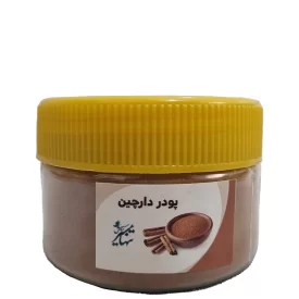 پودر دارچین - 100 گرم
