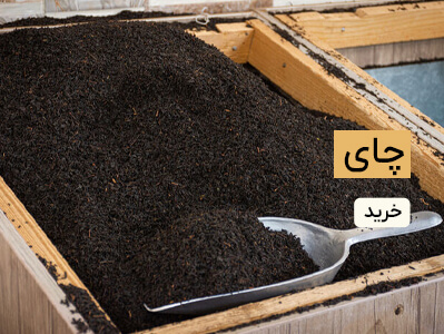 چای