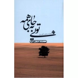 کتاب تویی به جای همه - حماسه سجادیه کتاب اول - نشر نیستان