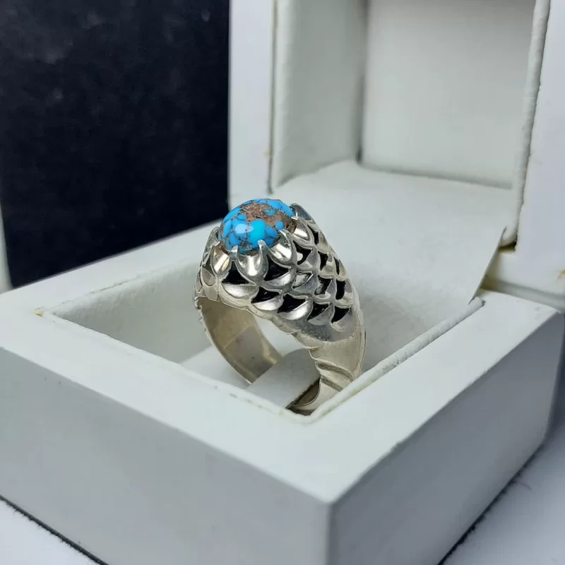 2547_178461840685.jpg