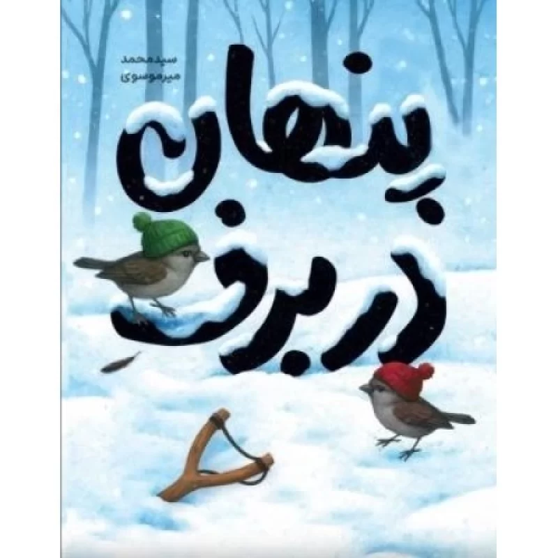 کتاب پنهان در برف - نشر عهدمانا