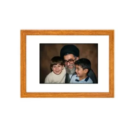 قاب پناه 2