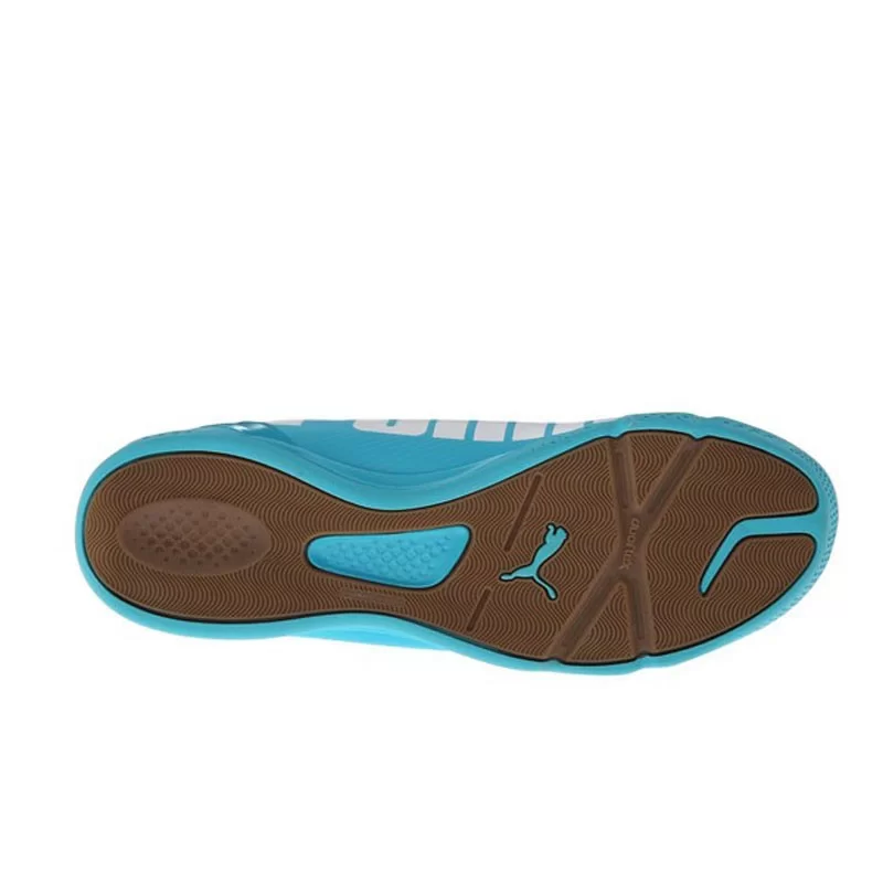 Puma new arrivals evospeed 4.2