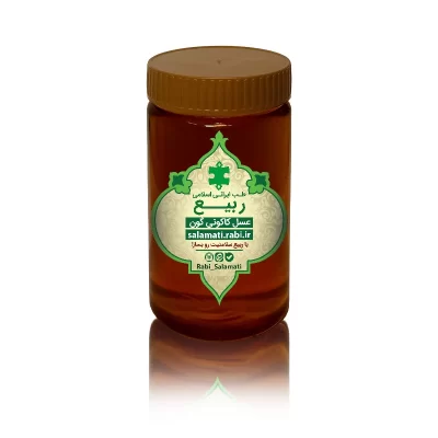 عسل طبیعی کاکوتی گون 500 گرمی با کیفیت عالی