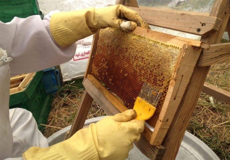 عسل طبیعی خلیلو با کیفیت عالی